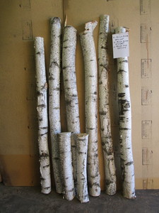 Birch 12 Logs - Four 4 x 64L, Tw...