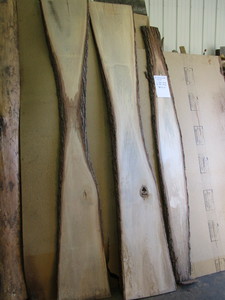 Three Basswood Slabs 34 thick, 90...