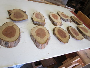 Ten Cedar Cookies, 4 to 4-12...