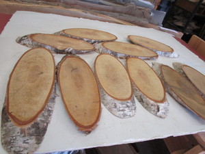Ten Birch Ovals, 4 to 11...