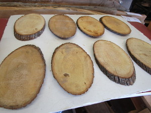 Eight Basswood Ovals, 7 to 12...