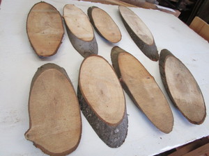 Eight Maple Ovals, 9 to 14...