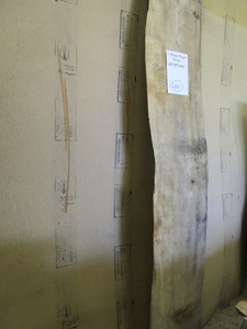 One Silver Maple Slab, 2-12 Thick...
