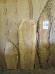 Three Ash Slabs, 33, 57 and 62 L...