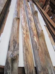 Fifteen Pine Live Edge Cutoffs, 6ft...