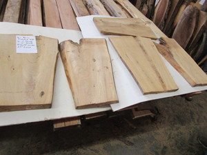 Five Elm Matched Slabs, 27 Long...