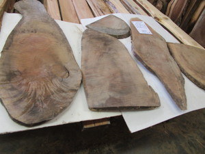 Five Walnut Ovals, 15 to 44 Long...