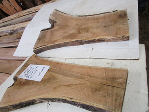 Two Matched Butternut Slabs, 31 Lo...