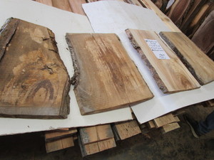 Seven Butternut Slabs, 23 to 30 L...