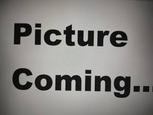 lot 2 image: Halted - issue discovered.