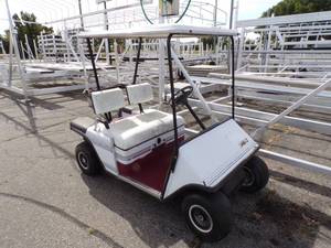Gas Powered Golf Cart