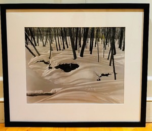 lot 24 image: Gorgeous Silver Gelatin Print Snow Carpet in Eroded Ravine  by Regina M. Flanagan