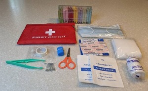 lot 410 image: New First Aid Kit Portable Compression Towels P