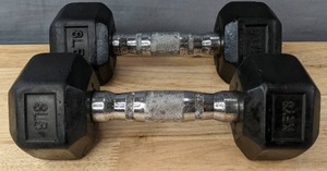 lot 144K image: Two 8-Lb Dumbbell Weights L