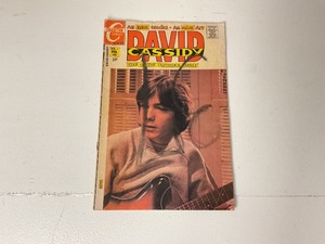 lot 84 image: David Cassidy