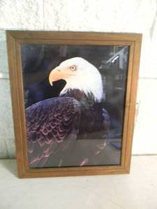 lot 11 image: VINTAGE FRAMED EAGLE PRINT - COOL PIECE - APPROX 20 WIDE 24 HIGH - SEE PICTURES