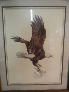 lot 15 image: VINTAGE 1970s American Bald Eagle Hugh Hirtle Signed Print, NICELY FRAMED - AWESOME PIECE - APPROX 25 WIDE 31 HIGH - SEE PICTURES