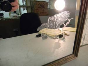lot 17 image: VINTAGE 1980s American Bald Eagle Etched Glass Mirror, NICELY FRAMED - AWESOME PIECE - APPROX 23 WIDE 19 HIGH - SEE PICTURES