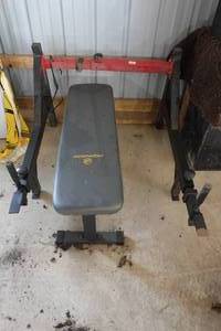 lot 291 image: Apex Weight Bench with Squat Rack