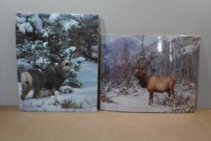 lot 113 image: Large Wildlife Prints