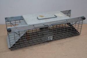 lot 156 image: Havaheart Live Trap