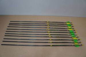 lot 204 image: 10 Carbon Express Wolverine Hunter 55-70 Arrows