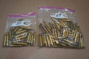 lot 247 image: 101 Empty .270 Win Casings