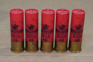 lot 337 image: 5 Winchester Super X 12 Gauge 3 Magnum 4 Buck Shotshells
