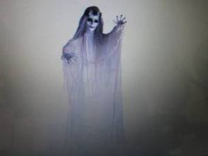 lot 12 image: Haunted Hill Farm 6 Animated Bride...