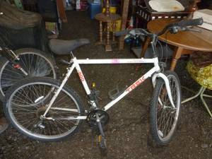 lot 78 image: TREK antelope 800 bike 21 speed