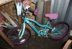lot 84 image: Girls Schwinn bike 20 inch