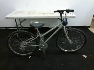 lot 114 image: Youth Mountain Bike with Knobby Tires
