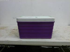 lot 156 image: Purple and White Insulated Cooler Box