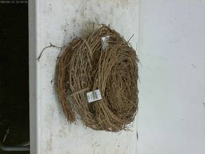 lot 270 image: Natural Grapevine Wreath