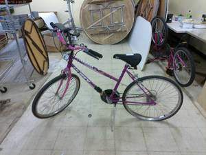 lot 494 image: Huffy Trainer 12-Speed Bicycle