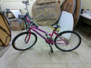 lot 495 image: Pacific Wanderer Pink Mountain Bike