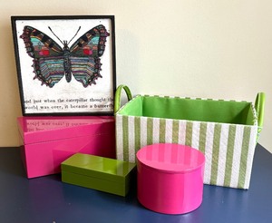The Container Store Colorful Lidded Boxes, Butterfly Print and Bin