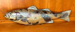 Pottery Fish Decorative Figurine by Gordon Graystone