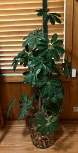 lot 54 image: Fabulous Faux Greenery