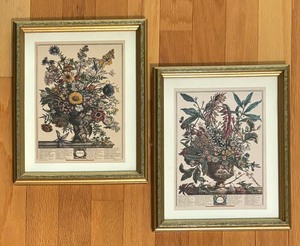 lot 86 image: Vintage January and November Botanical Prints by Robert Furber