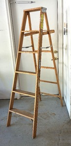 lot 87E image: Werner W336 Wooden Step Ladder