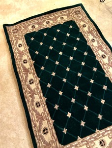 lot 47E image: Home Decorators Collection Windsor Rug