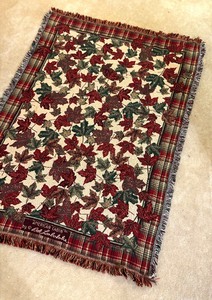 lot 336E image: Blanket by Bob Timberlake