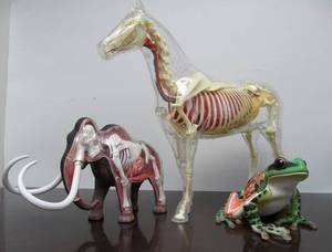 lot 222 image: Very Cool Larger Size 4D Master Animal Figures