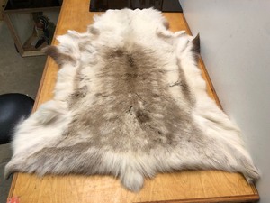 lot 327 image: Genuine Reindeer FurHide Rug