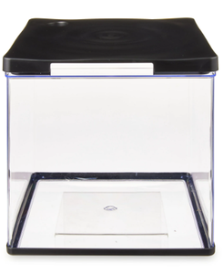 lot 449 image: Aqua Culture 3 Gallon Transparent Plastic Aquarium,Volume Capacity 3 Gallon