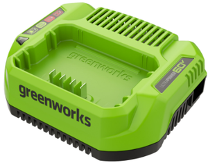 lot 479 image: Greenworks 60V 3 Amp Charger 1807702