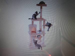 lot 314 image: PetMaker 58-34H 5-Tier Ultimate C...
