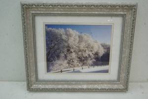 lot 251 image: Wall Decor