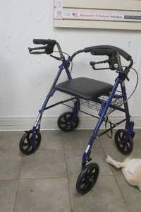 lot 255 image: Drive Walker